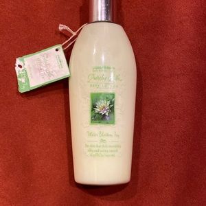 Water Blossom Ivy 6.5oz. Discontinued.